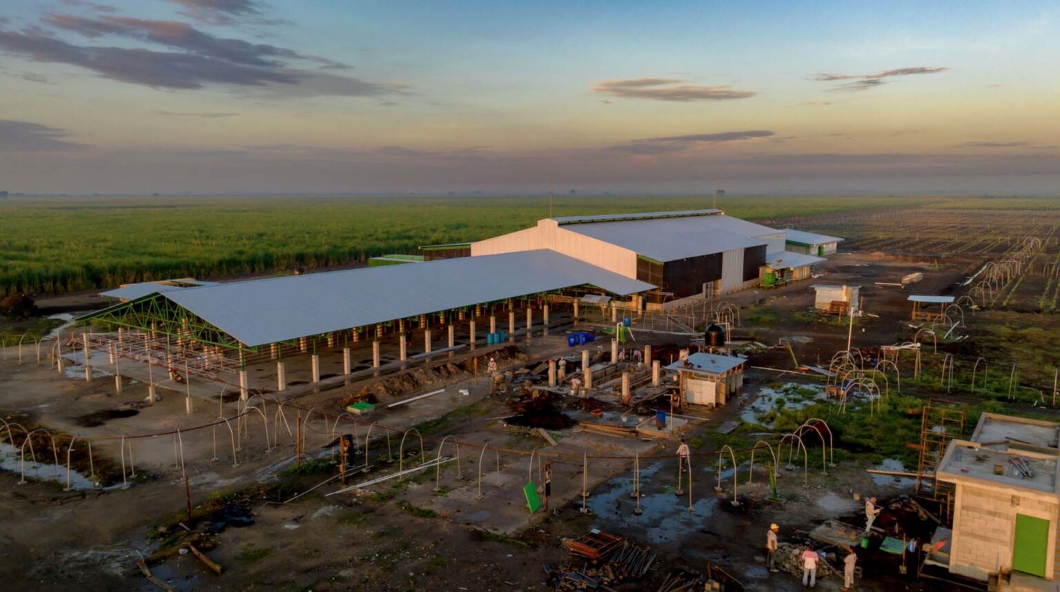 Empacadora de Banano | Corporación Aicsa, construyendo una Guatemala mejor