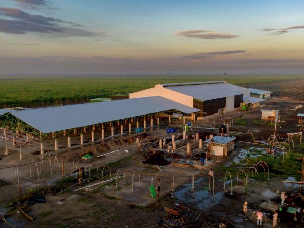 Empacadora de Banano | Corporación Aicsa, construyendo una Guatemala mejor